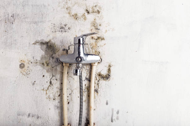 Best HVAC Mold Remediation in Brodhead, WI