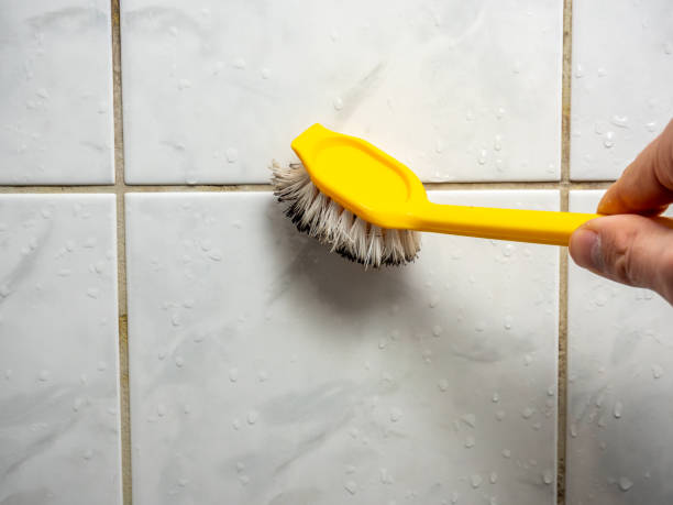 Best Basement Mold Remediation in Brodhead, WI