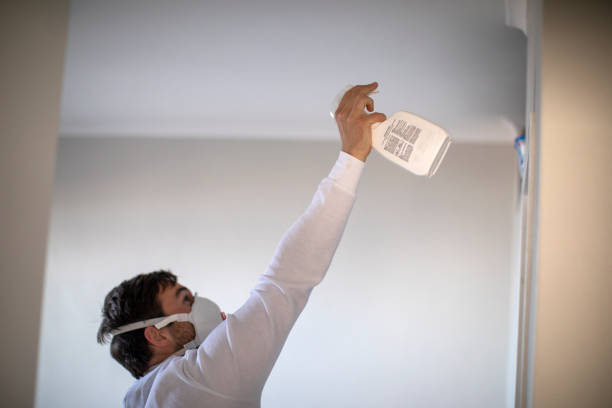 Best Residential Mold Remediation in Brodhead, WI